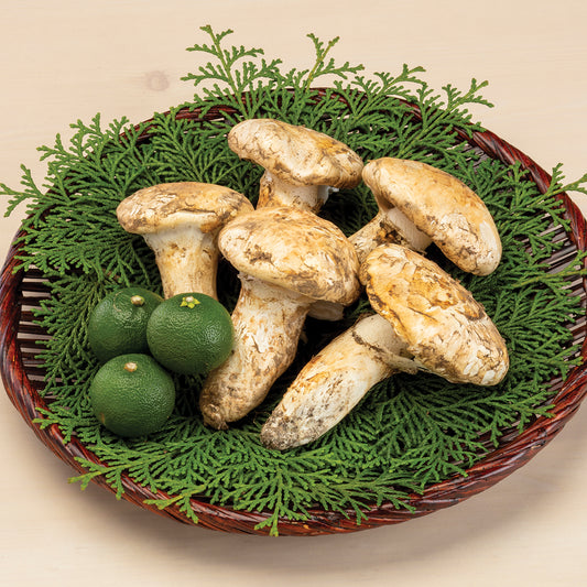 Special Value Grade Matsutake Pine Mushroom with Sudachi Lime (Available End of Sep- Mid Nov)
