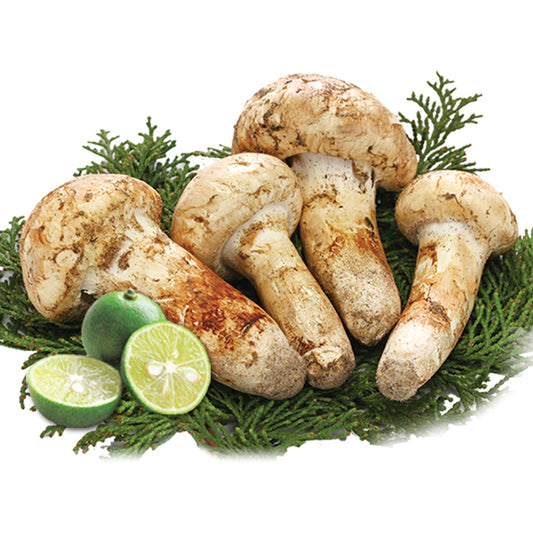 Premium Grade Matsutake Pine Mushroom with Sudachi Lime (Available End of Sep- Mid Nov)